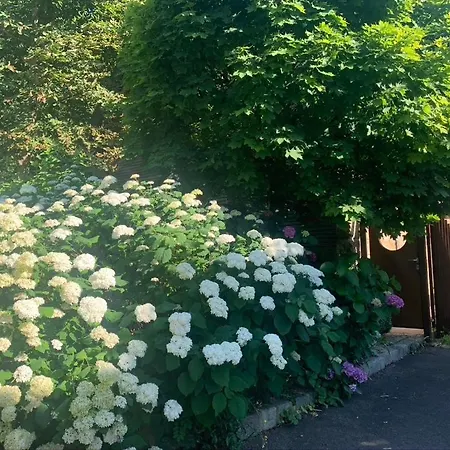 Künstlerzimmer Apartment Straden