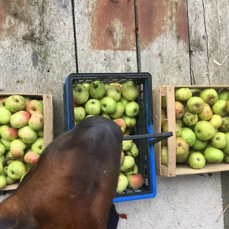 Kuenstlerzimmer Appartamento *