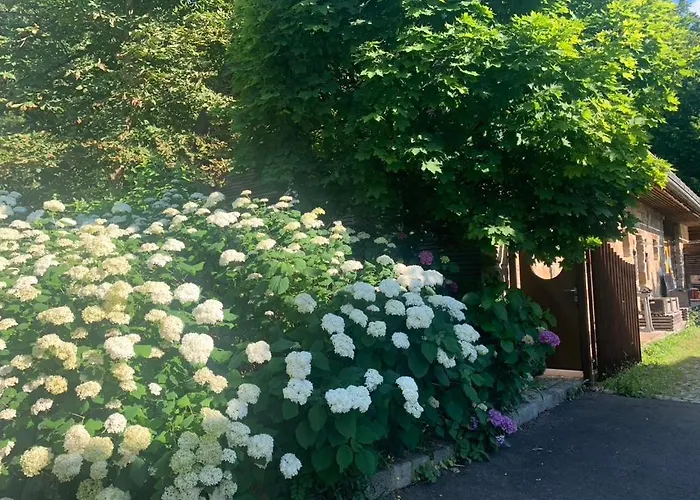 Kuenstlerzimmer 아파트 Straden